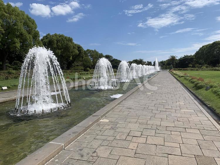須磨　離宮公園 兵庫,神戸,須磨の写真素材