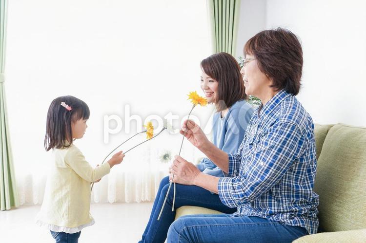 おばあちゃんにお花を渡す子供 子ども,ギフト,花の写真素材
