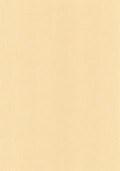 クラフト紙 1 クラフト紙 1の写真