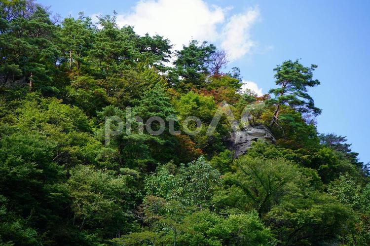 初秋のきみまち阪公園の屏風岩の景色（秋田県能代市二ツ井）　９ 景色,初秋,秋景色の写真素材