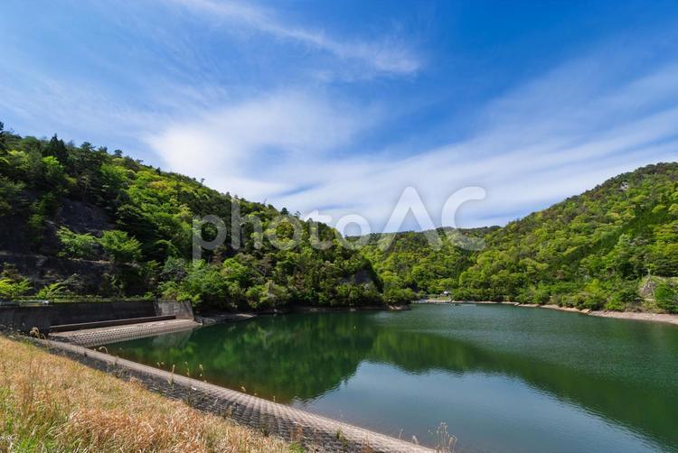 佐仲ダム貯水池と釣り場 佐仲ダム,アース式,灌漑用水の写真素材