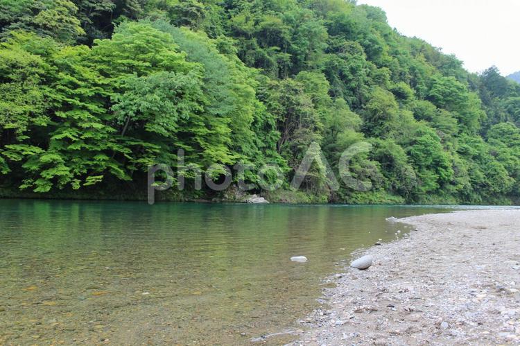 透き通った川と砂浜 海,水,海水の写真素材