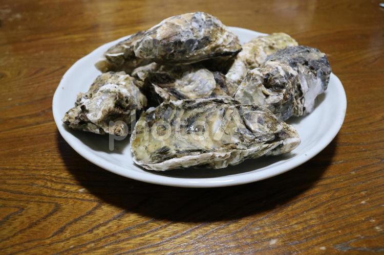 牡蠣 食べ物,和食,魚介類の写真素材