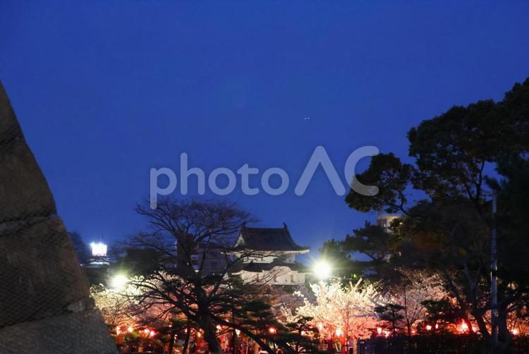 ４月上旬の玉藻公園のライトアップの夜桜 背景,夜桜,桜の写真素材