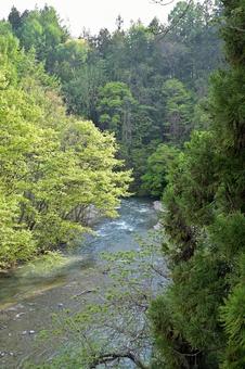 新緑の山河の輝きに洗われる 新緑の山河の輝きに洗われる 山河,清流,すがすがしいの写真素材