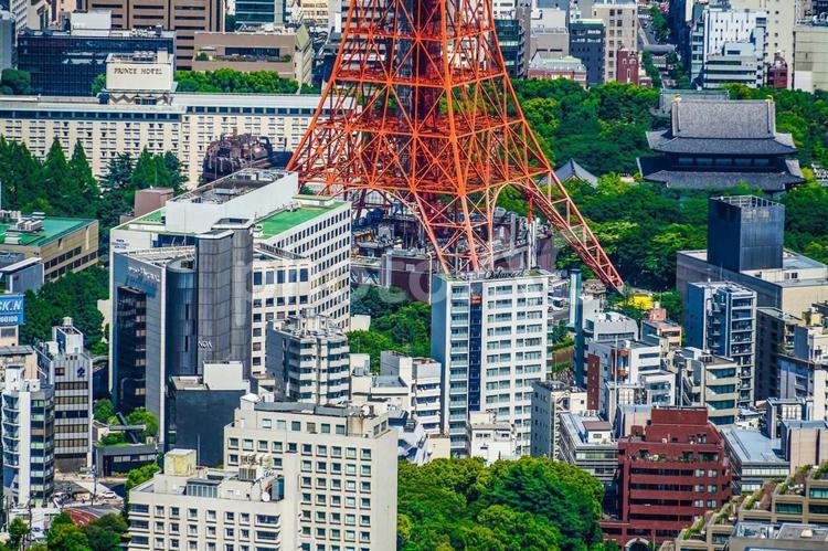 東京タワーと都市風景 東京タワー,タワー,街並みの写真素材