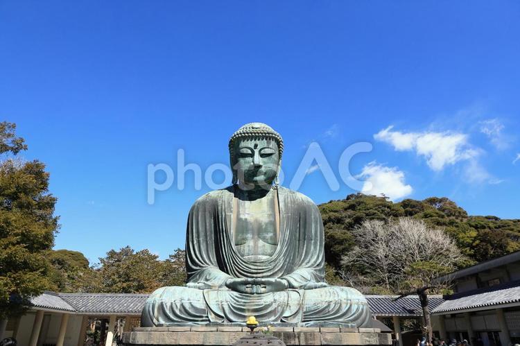 鎌倉の大仏 鎌倉,大仏,鎌倉市の写真素材