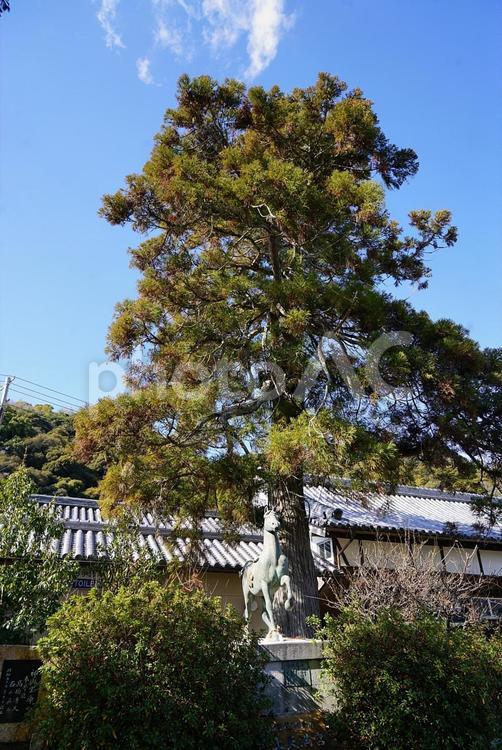 パワースポット淡路島　河上神社　天満宮⑱ パワースポット,淡路島,河上神社の写真素材