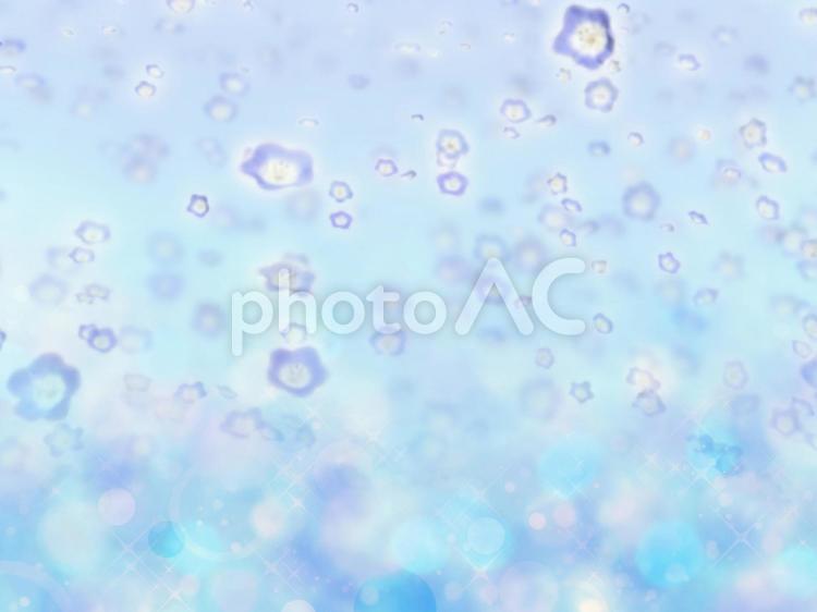 ネモフィラの花の背景素材（キラキラと水玉模様　01） ネモフィラ,花,花畑の写真素材