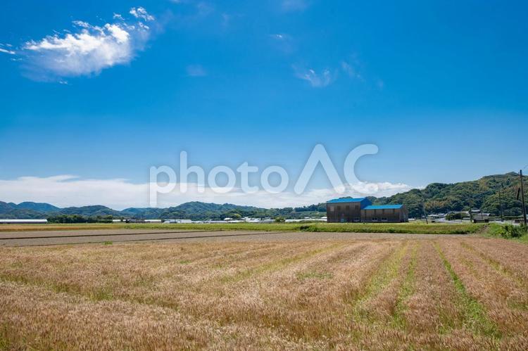田舎の畑から眺める風景 空,自然,背景の写真素材