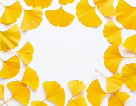 柔らかな秋色のイチョウ葉背景の写真