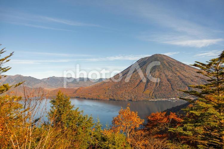 男体山と中禅寺湖の紅葉 男体山,中禅寺湖,紅葉の写真素材