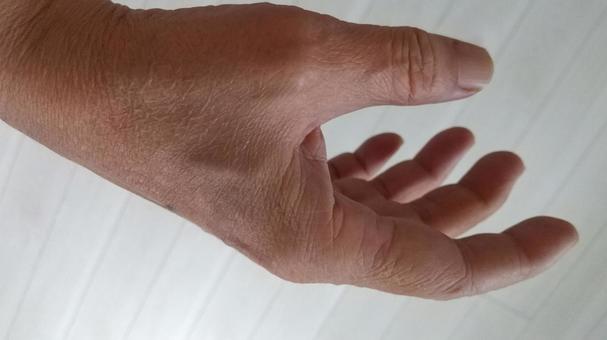 右手 右手,手,手の甲の写真素材