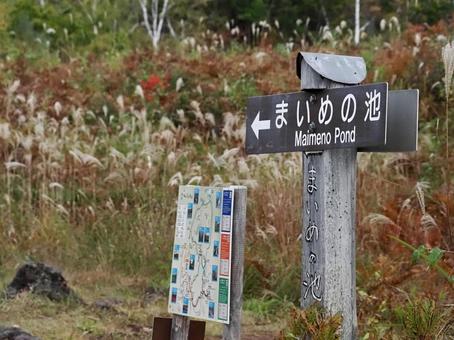 乗鞍高原まいめの池の看板 乗鞍高原まいめの池の看板 秋,風景,自然の写真素材