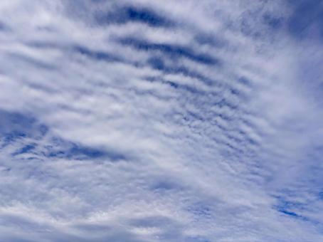 【空の写真】秋の空 秋空,空,雲の写真素材