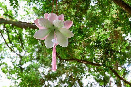Photo, suzhou, humble administrator&#39;s garden, world heritage, 