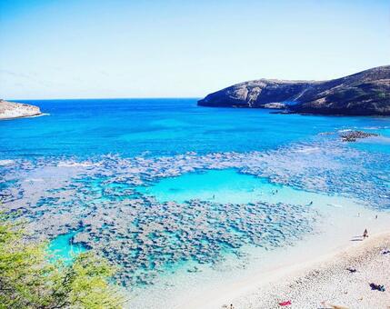 ハワイの海の写真
