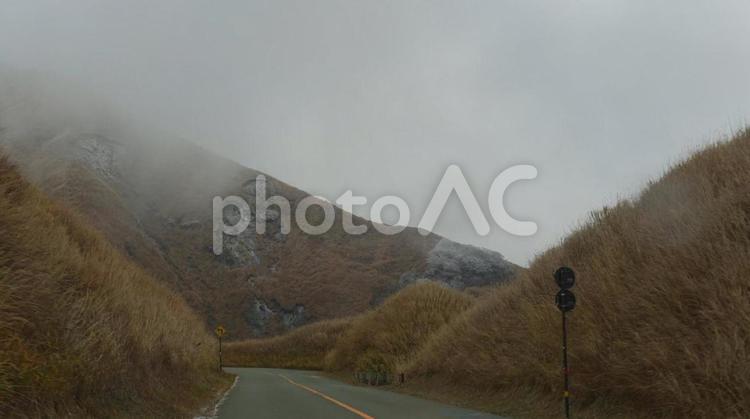 曇りの日の運転 道路,旅,運転の写真素材