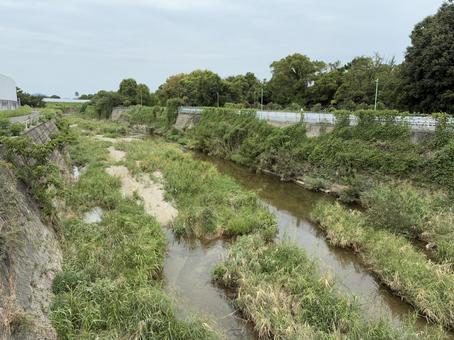 伊丹空港近くの川2 木,空,川の写真素材
