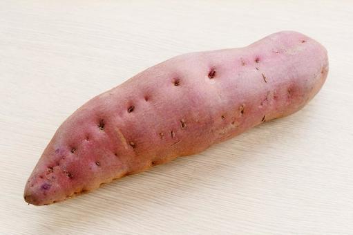 サツマイモ　加賀野菜　五郎島金時 さつまいも,加賀野菜,一本の写真素材