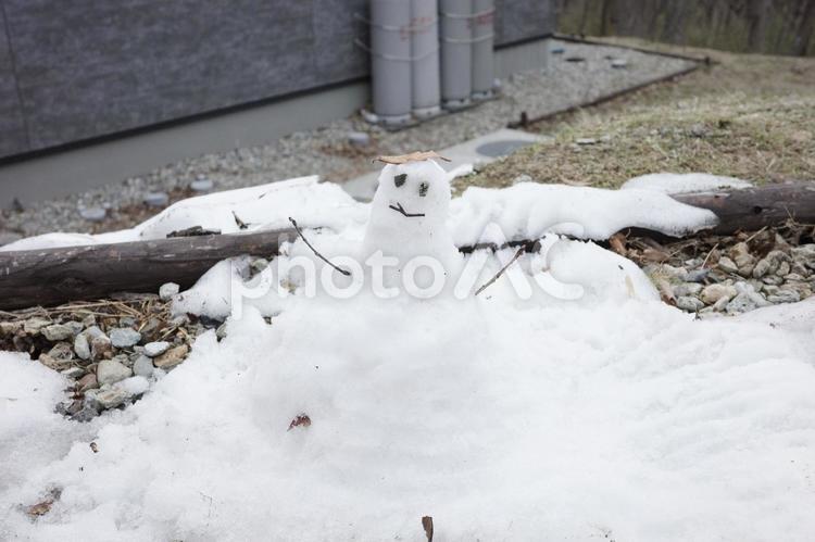 雪だるま ゆきだるま,雪だるま,雪の写真素材