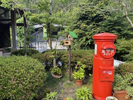 霧の森 霧の森の写真