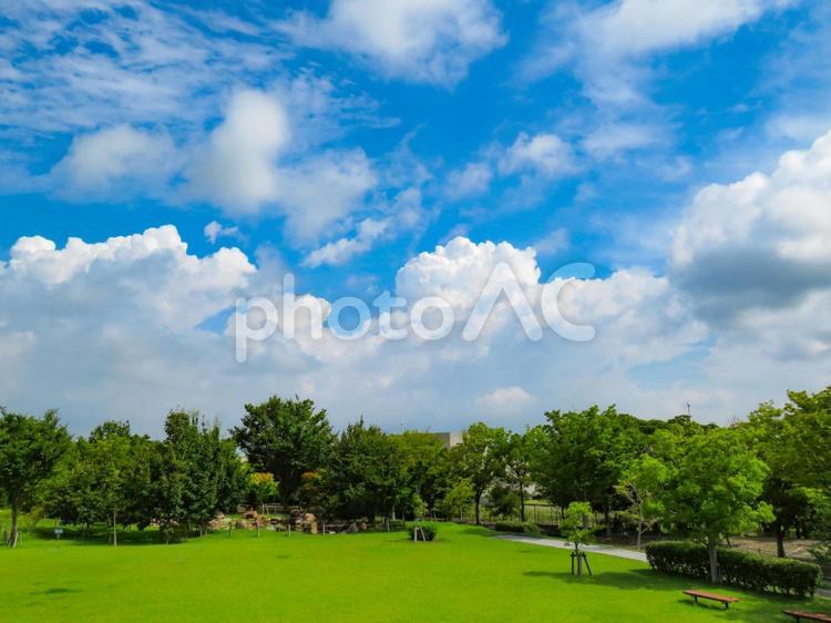 芝生のある公園と空の風景 公園,青空,空の写真素材
