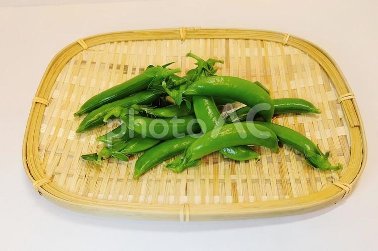 スナップエンドウ　ザルにのせて　前から スナップエンドウ,えんどう,豆の写真素材