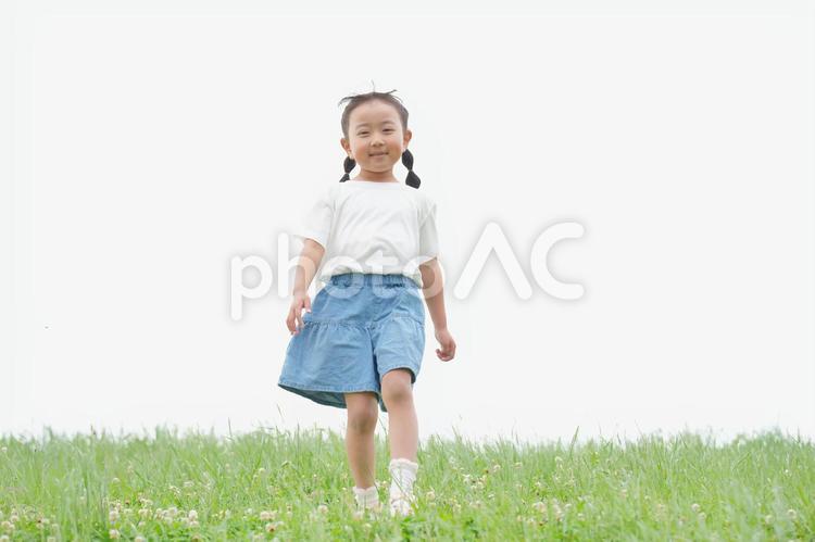 草原を歩きながらカメラ目線のおさげの女の子 女の子,女児,小学生の写真素材
