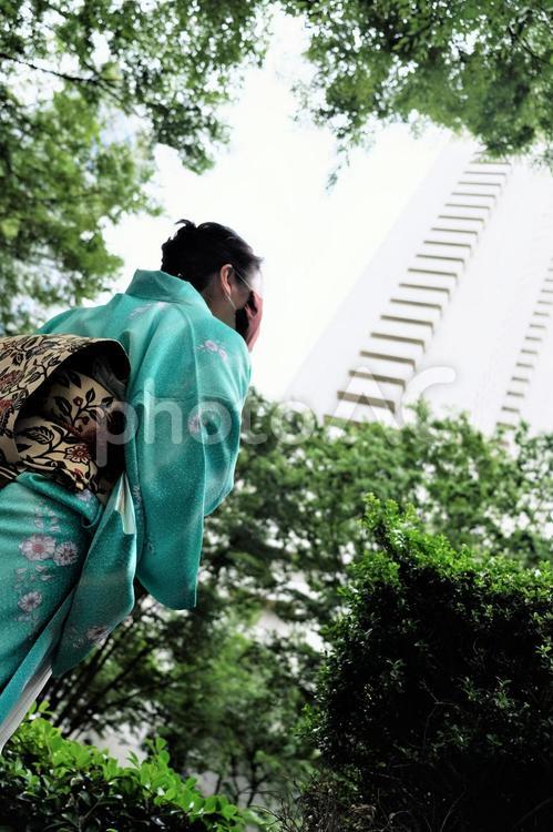 ぼかした都庁を見上げる着物の女性 高層ビル,新緑,緑の写真素材