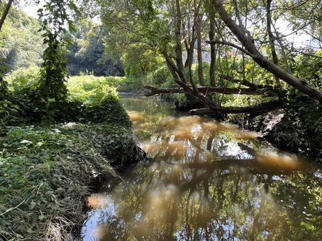 川の奥地 川の奥地 秘境,川,トレッキングの写真素材