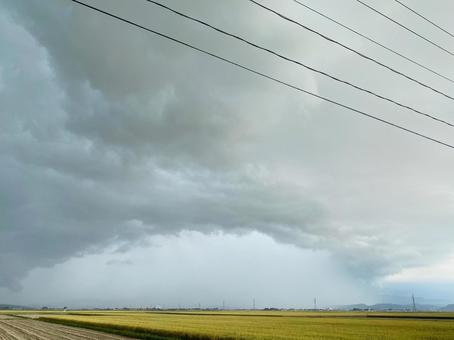 雨柱によるゲリラ豪雨2 雨柱によるゲリラ豪雨2の写真