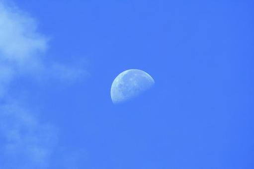 夏の早朝の空に輝く半月 夏の早朝の空に輝く半月の写真