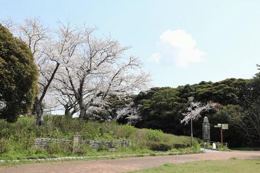 高塔山公園 高塔山公園の写真