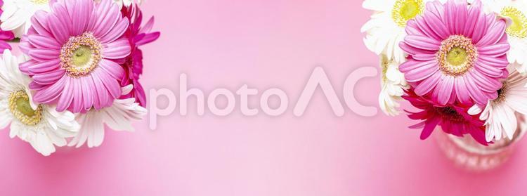白とピンクのガーベラ花束素材 花,ピンク,ガーベラの写真素材