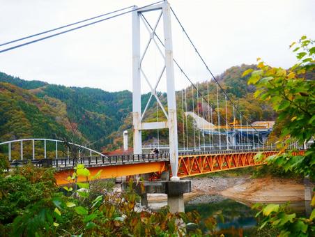 九頭竜湖紅葉の夢のかけ橋｜福井県大野市 九頭竜ダム,九頭竜湖,紅葉の写真素材