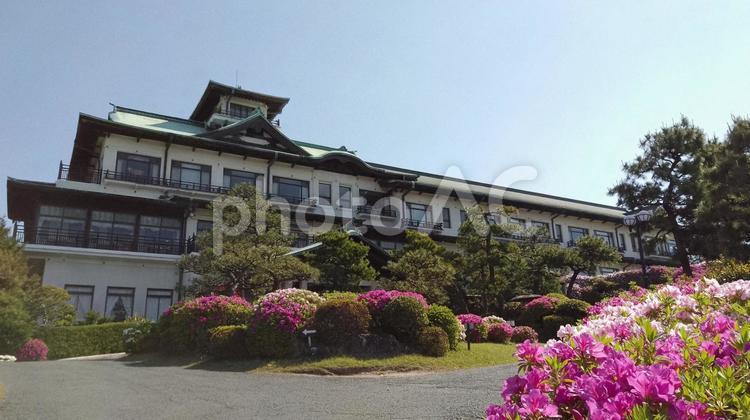 洋館とつつじ庭園 つつじ,ピンク,むらさきの写真素材