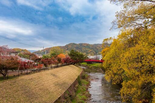 秋の竜田川 竜田川,秋,紅葉の写真素材