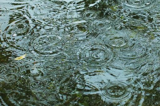 雨の波形3-自然の美 雨の波形3-自然の美の写真