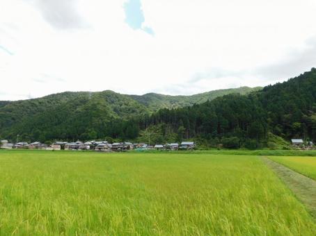 里山 里山の写真