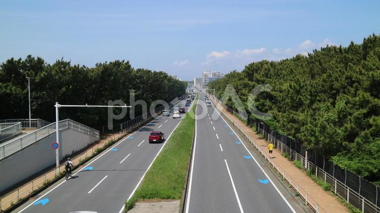 国道134号線茅ヶ崎市野球場前の風景 国道134号線,湘南道路,海岸道路の写真素材