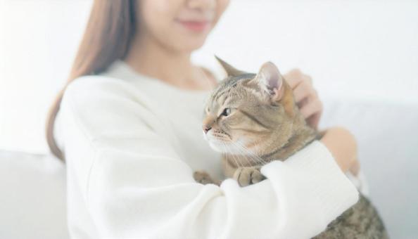女性に抱かれた猫のアップ 女性に抱かれた猫のアップの写真