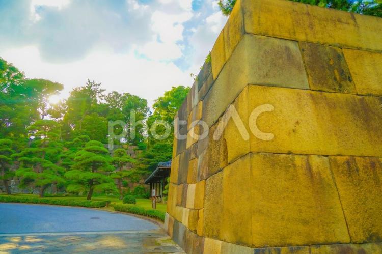 江戸城の石垣 江戸城,石垣,皇居の写真素材