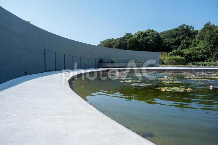 ［兵庫県淡路市］本福寺｜水御堂 淡路島,本福寺,水御堂の写真素材