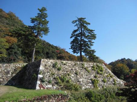 Tottori Castle Tenkyumaru, JPG