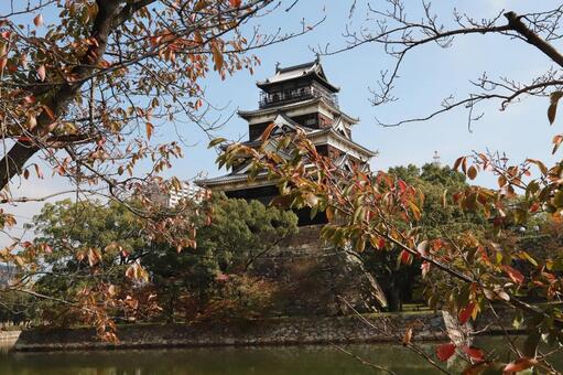 広島城晩秋 広島市,広島城,観光地の写真素材