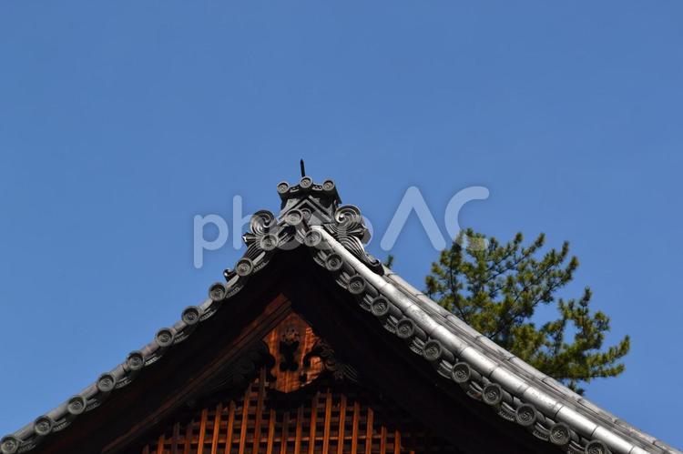 寺院　破風 寺院,破風,日本建築の写真素材