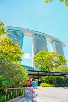 【シンガポール】マリーナベイサンズ 【シンガポール】マリーナベイサンズ シンガポール,マリーナベイサンズ,ベイフロントの写真素材