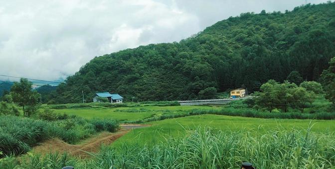 自然風景 自然風景の写真