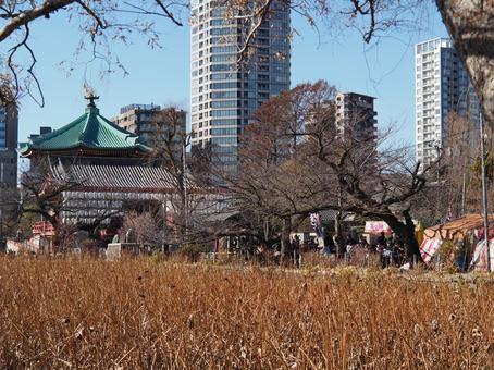 上野公園の風景 上野公園の風景 上野恩賜公園,辯天堂,公園の写真素材